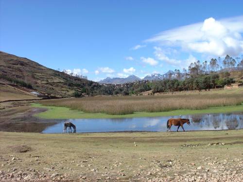 Lagunilla