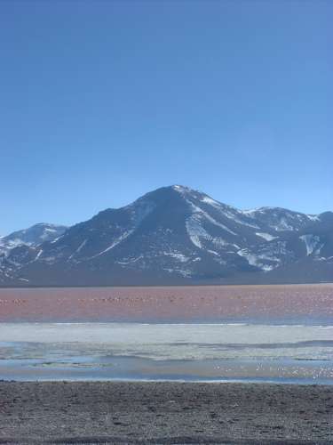 Laguna Colorada