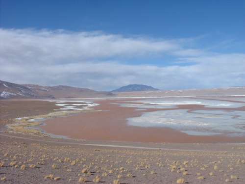 Laguna Colorada