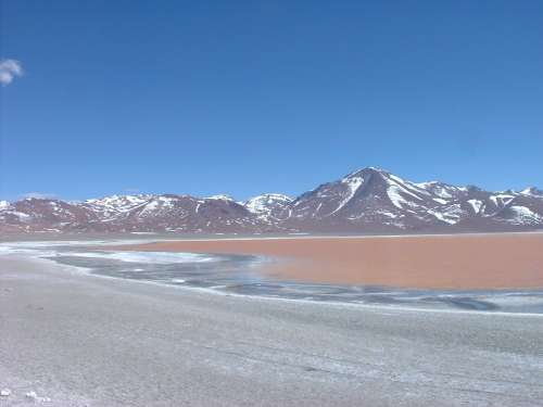 Laguna Colorada