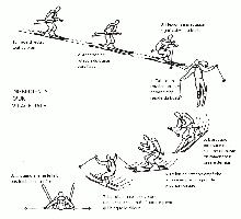 virage raté