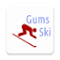 gumsski 60