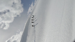 Cinq skieuses