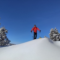 Conquérant d'une bosse... (Vercors)