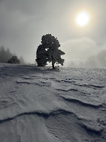 Hauts plateaux du Vercors