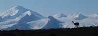 Calme et sérénité, nature et immensité