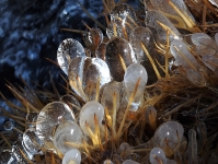 L'eau dans tous ses états, en toute beauté!