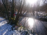 reflets d'hiver à Vincennes