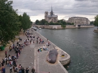 une baleine à Paris