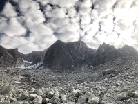 Forêt de nuages