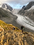 Lumières de Glace 