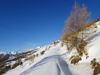 premières neiges