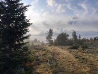 Réveil dans la brume