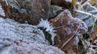 L'hiver revient bientôt