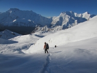 Népal : En descendant du col du Chulu, face aux Annapurnas.