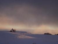 Aubrac sous la neige