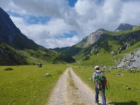 Et au milieu coule un chemin