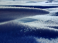 Quand l'eau prend un air de mousse en sous-bois