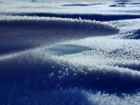 Quand l'eau prend un air de mousse en sous-bois