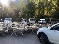 on a la priorité ! Ah mais !