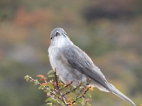 Concours photos 2025