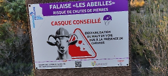 L'escalade rend chèvre !