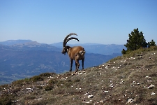 Sur le dôme du Glandasse