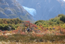 Symphonie d'automne avec notes blanches