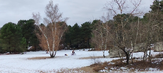 Concours photos 2025