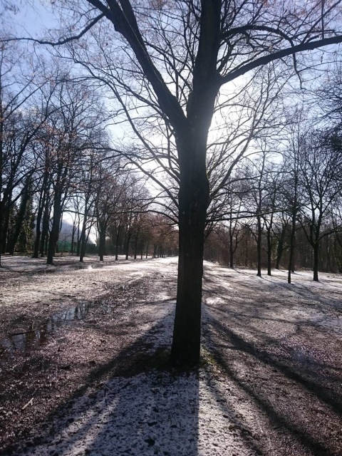 soleil d'hiver à Vincennes
